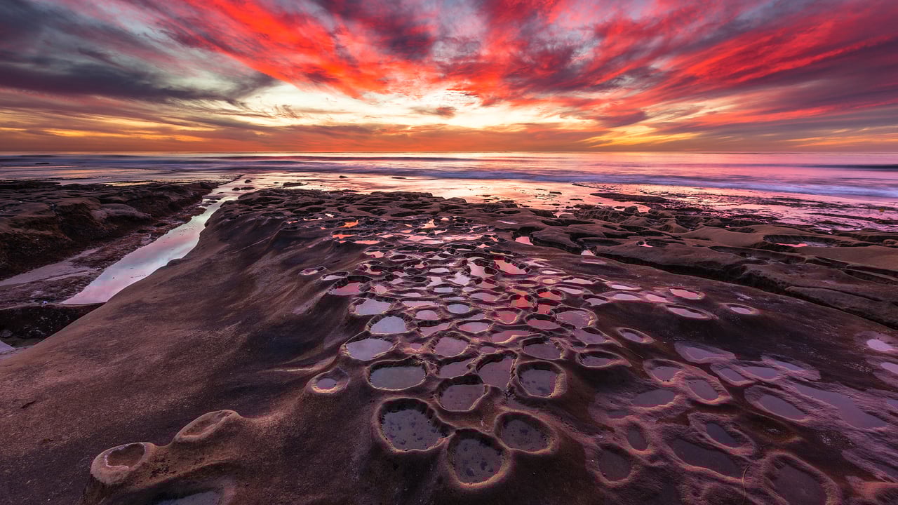 ラホヤの引き潮, 米国 カリフォルニア州 (© Andrew Shoemaker/DanitaDelimont.com)