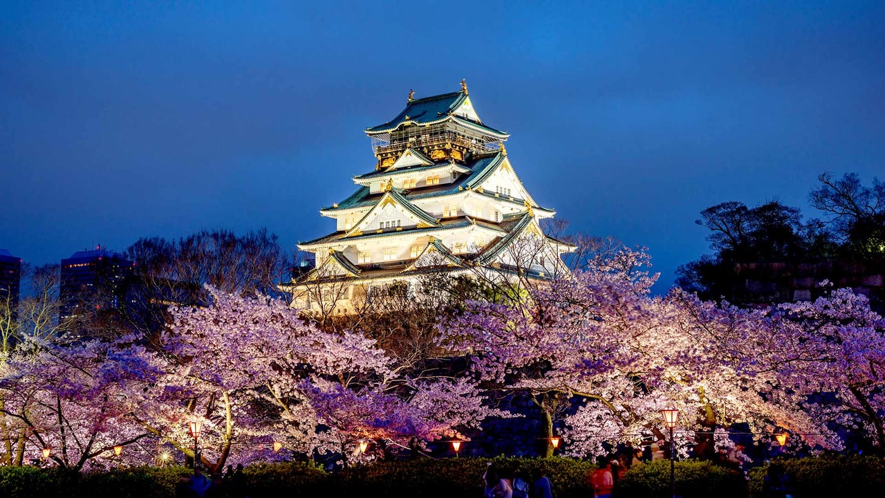 桜と大阪城, 大阪 (© Prasit Rodphan/Alamy Stock Photo)
