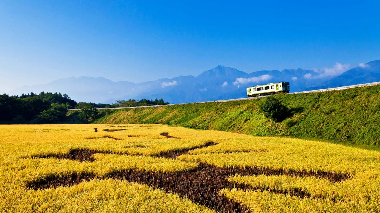 ｢秋の小海線｣山梨県, 北杜市 (© Masanori Yamanashi/SIME/eStock Photo)