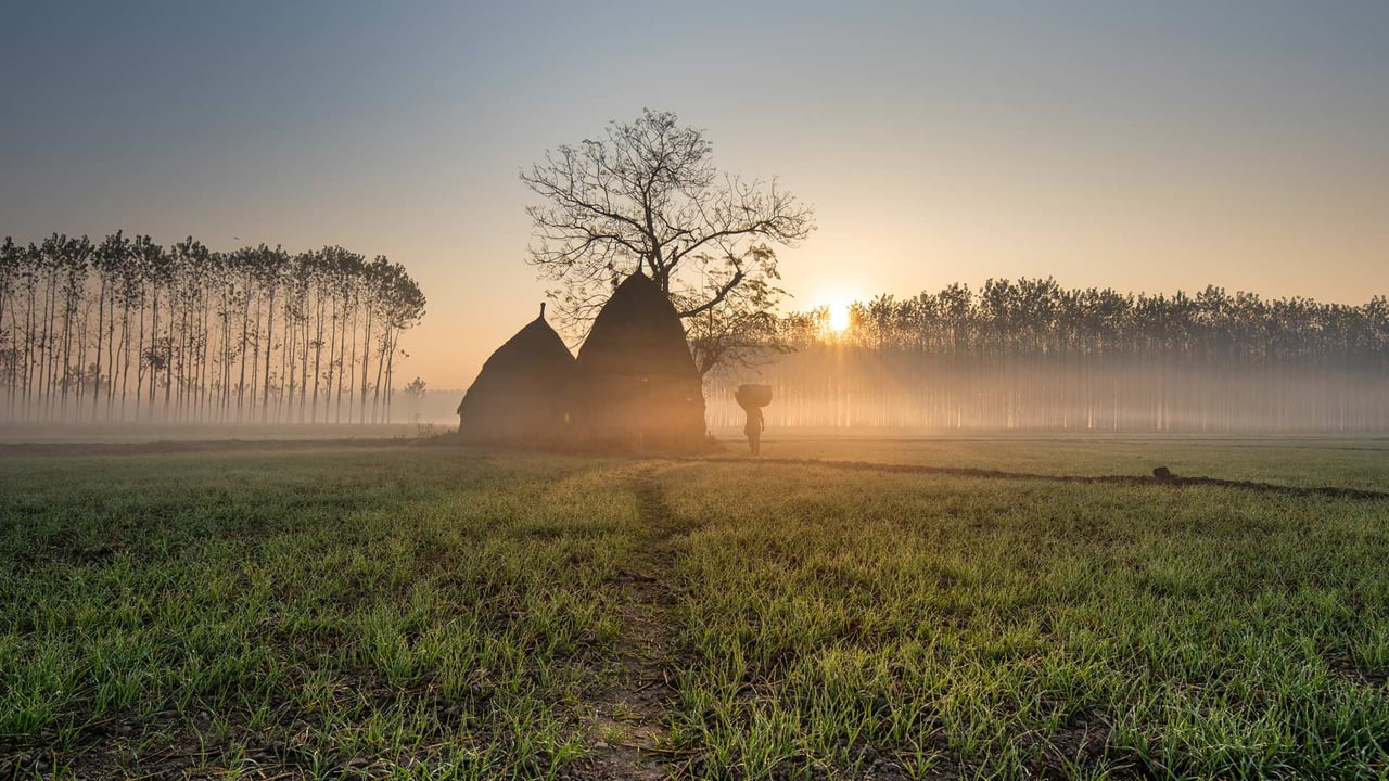 A field with thatched-roof huts, Punjab, India (© Jatin Malhotra/500px/Getty Images)