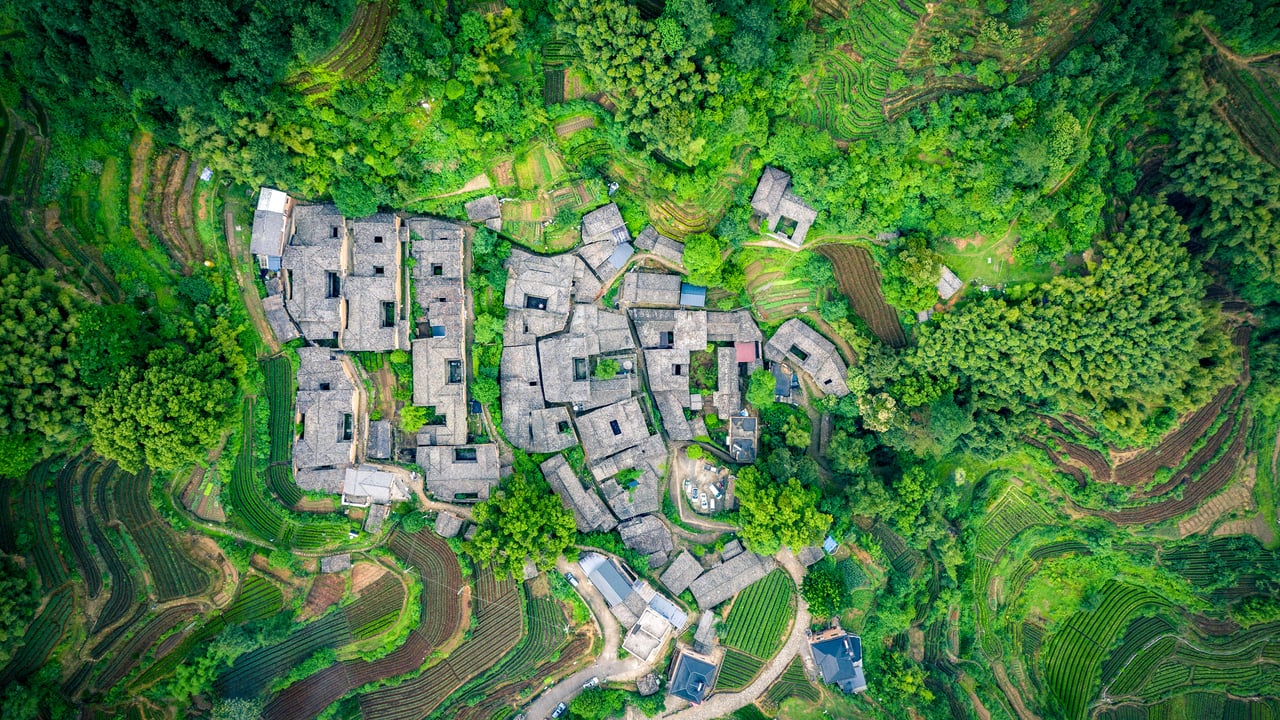Tea garden at Yangjiatang Village, Songyang County, China (© feng xu/Getty Images)