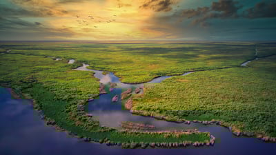 Bing wallpaper June 10, 2025. Aerial view of Everglades National Park, Florida (© Robert DelVecchio - OcuDrone/Getty Images)