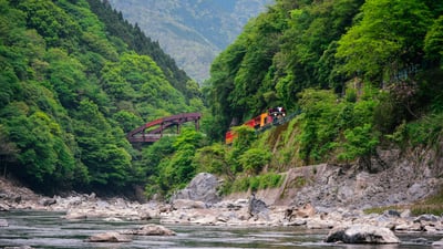 Bing wallpaper May 26, 2025. A train running along Hozugawa River in Arashiyama, Kyoto, Japan (© Alvin Huang/Getty Images)