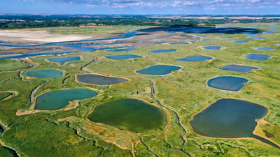 Bing wallpaper July 7, 2025. Vue aérienne de la Baie d'Authie, Somme, Haut-de-France (© Tuul & Bruno Morandi/Getty Images)