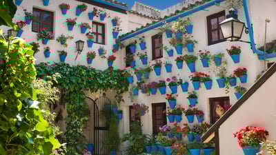 Bing wallpaper May 23, 2025. Córdoba, Andalucía, España (© Jose Lucas/Alamy Stock Photo)