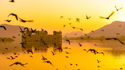Bing wallpaper November 2, 2020. Jal Mahaal water palace at lake Man Sagar, Jaipur (© Amit kg/Shutterstock)