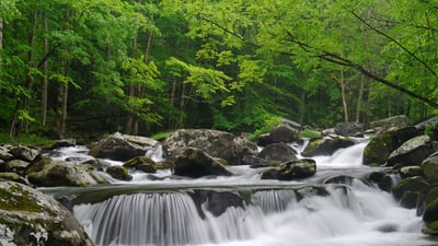Bing wallpaper May 30, 2025. Little Pigeon River, Great Smoky Mountains National Park, Tennessee, United States (© GreenStock/Getty Images)