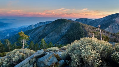 Bing wallpaper June 6, 2025. アンジェルス国有林, 米国 カリフォルニア州 (© Matthew Kuhns/TANDEM Stills + Motion)