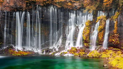 Bing wallpaper November 21, 2024. 白糸の滝, 静岡県 富士宮市 (© Sean Pavone/Alamy Stock Photo)